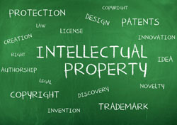 intellectual property law international business lawyer