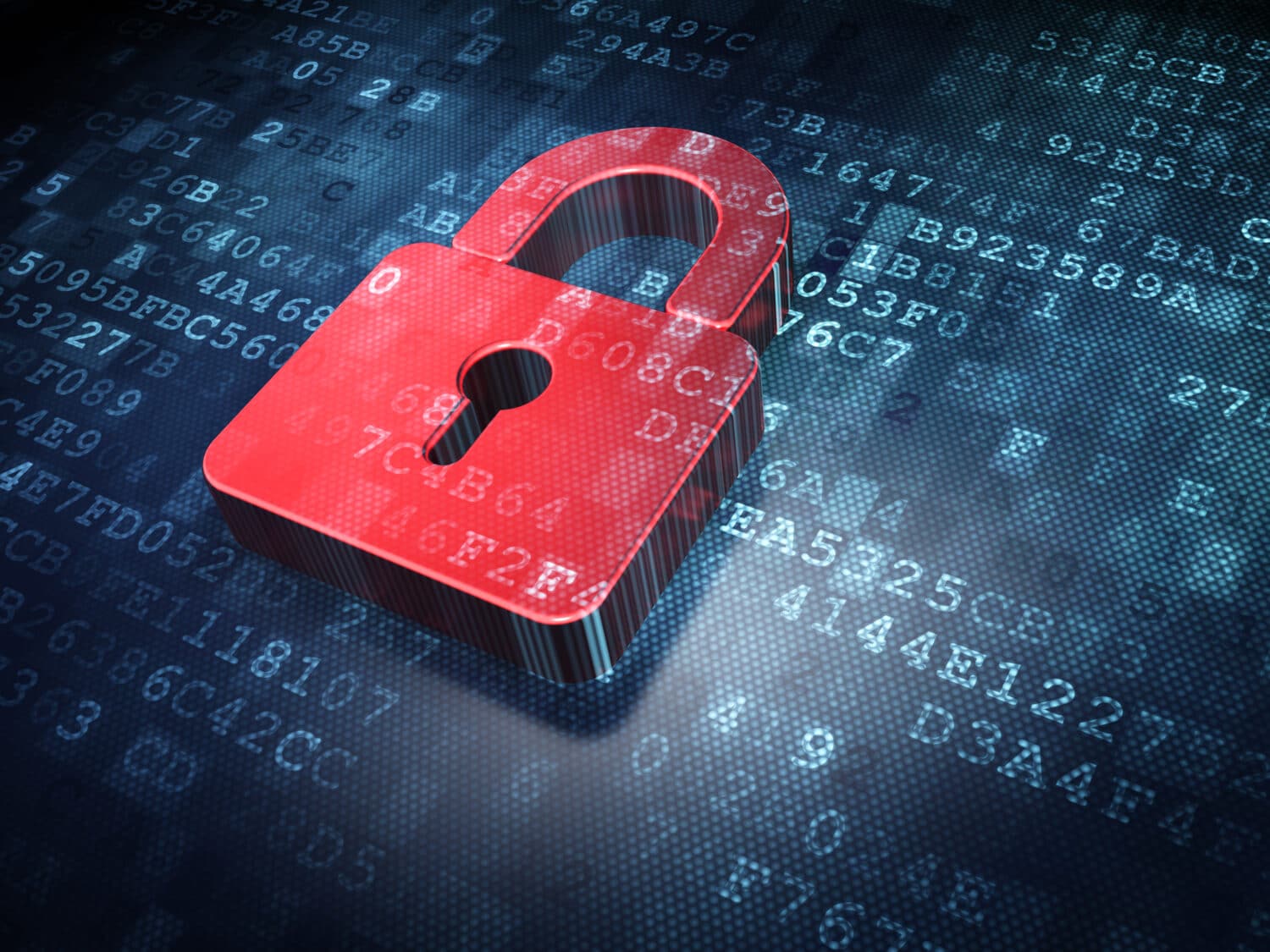 digital privacy